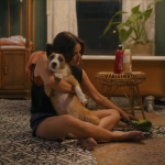 Filename=puppylovelhbr-139.jpg
Filesize=202KiB
Dimensions=1904x784
Date added=Aug 20, 2023 puppylovelhbr-139.jpg