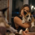 Filename=puppylovelhbr-142.jpg
Filesize=105KiB
Dimensions=1904x784
Date added=Aug 20, 2023 puppylovelhbr-142.jpg