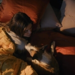 puppylovelhbr-155.jpg