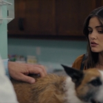 Filename=puppylovelhbr-184.jpg
Filesize=114KiB
Dimensions=1904x784
Date added=Aug 20, 2023 puppylovelhbr-184.jpg