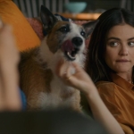 Filename=puppylovelhbr-190.jpg
Filesize=113KiB
Dimensions=1904x784
Date added=Aug 20, 2023 puppylovelhbr-190.jpg