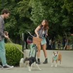 puppylovelhbr-225.jpg