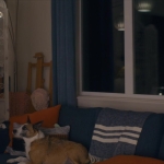 puppylovelhbr-894.jpg