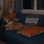 puppylovelhbr-895.jpg