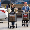 shoppinginLA211118-003.jpg