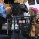 shoppinginLA211118-019.jpg