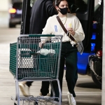 Filename=shoppingla240121-025.jpg
Filesize=2770KiB
Dimensions=2200x3300
Date added=Jan 24, 2021 shoppingla240121-025.jpg