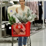 shoppingtarget011122-007.JPG