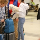 spottedatlax0204_017.jpg
