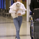 spottedatlax0204_021.jpg