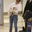 spottedatlax0204_026.jpg