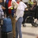 spottedatlax0204_029.jpg