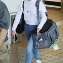 Filename=spottedatlax0204_055.jpg
Filesize=1361KiB
Dimensions=2400x3705
Date added=Apr 06, 2018 spottedatlax0204_055.jpg