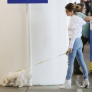 Filename=spottedatlax0204_061.jpg
Filesize=600KiB
Dimensions=2400x2303
Date added=Apr 06, 2018 spottedatlax0204_061.jpg