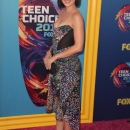 tca2018-011.jpg