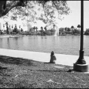 Filename=vlcsnap-2016-05-13-16h21m20s422.png
Filesize=768KiB
Dimensions=1280x720
Date added=May 15, 2016 vlcsnap-2016-05-13-16h21m20s422.png