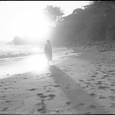 vlcsnap-2016-05-13-16h22m57s951.png