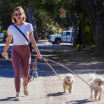 walkingdogs07032022-004.JPG