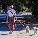 walkingdogs07032022-007.JPG