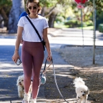 walkingdogs07032022-010.JPG