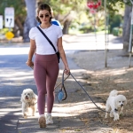 walkingdogs07032022-011.JPG