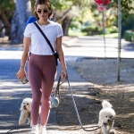 walkingdogs07032022-012.JPG