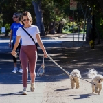 walkingdogs07032022-018.JPG
