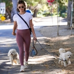 walkingdogs07032022-024.JPG