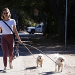 walkingdogs07032022-028.JPG