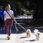 walkingdogs07032022-029.JPG