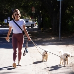 walkingdogs07032022-034.JPG