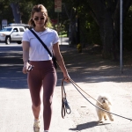 walkingdogs07032022-035.JPG