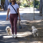 walkingdogs07032022-037.JPG