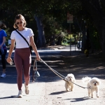 walkingdogs07032022-041.JPG