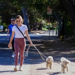 walkingdogs07032022-044.JPG