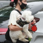 walkingelvisla250620-004.jpg