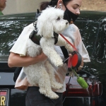 walkingelvisla250620-007.jpg