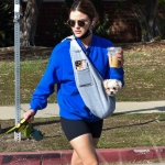 walkingherdogsinla110221_062.jpg