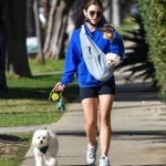 walkingherdogsinla110221_065.jpg