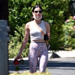 walkinginhollywood140520_028.jpg