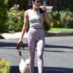 walkinginhollywood140520_031.jpg