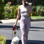 walkinginhollywood140520_032.jpg