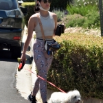 walkinginhollywood140520_038.jpg