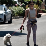 walkinginhollywood140520_043.jpg