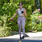 walkinginhollywood140520_064.jpg
