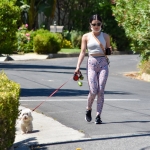 walkinginhollywood140520_069.jpg