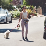 walkinginhollywood140520_074.jpg