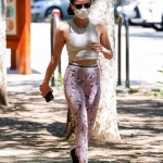 walkinginhollywood140520_077.jpg