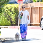 walkswithherdoginstudiocity_2401-006.jpg
